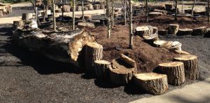 garden centre makeover