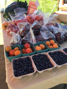 We Love Local Fruits