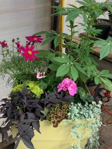 gorgeous spring planter