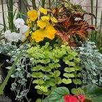 Shade Container
